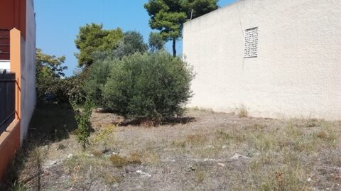 Πώληση Οικοπέδου – (ID: Π3154)