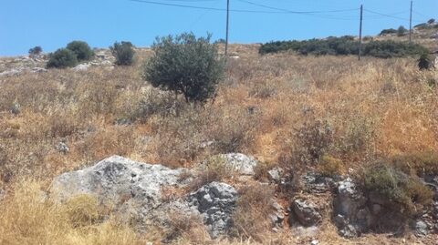 Πώληση Οικοπέδου – (ID: Π3244)