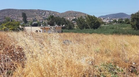 Πώληση Οικοπέδου – (ID: Π3243)