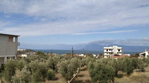 Πώληση Οικοπέδου – (ID: Π3509)