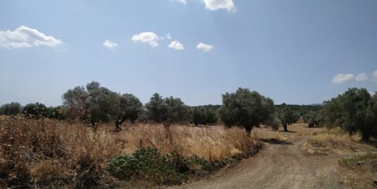 Πώληση Αγροτεμαχίου – (ID: Π3469)