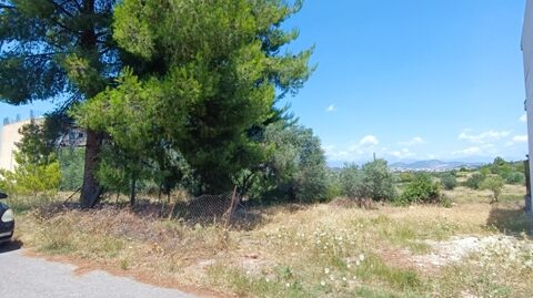 Πώληση Οικοπέδου – (ID: Π3562)