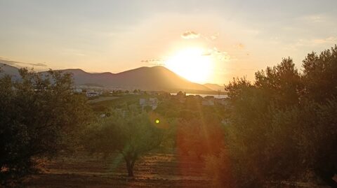 Πώληση Οικοπέδου – (ID: Π3585)