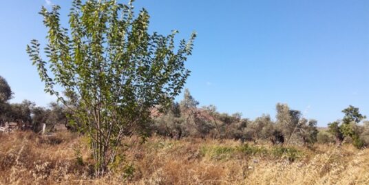 Πώληση Αγροτεμαχίου – (ID: Π3127)