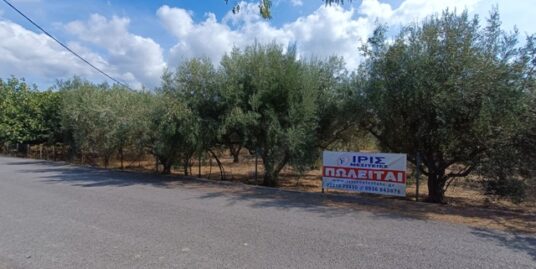 Πώληση Οικοπέδου – (ID: Π3826)