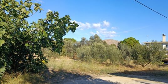 Πώληση Οικοπέδου – (ID: Π3830)