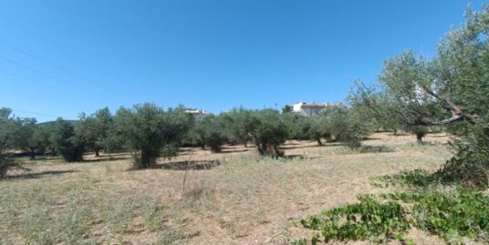 Πώληση Οικοπέδου – (ID: Π3930)
