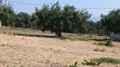 Πώληση Οικοπέδου – (ID: Π2970)