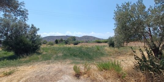 Πώληση Αγροτεμαχίου – (ID: Π3950)