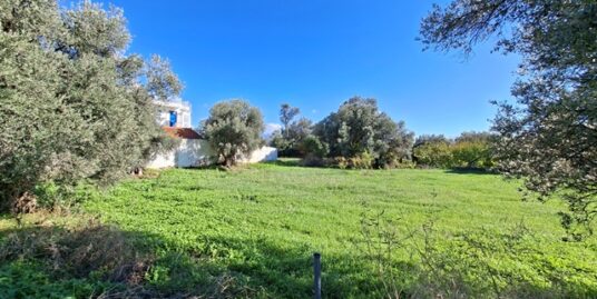 Πώληση Αγροτεμαχίου – (ID: Π4004)